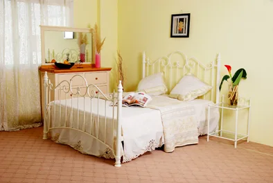 Metal Bed