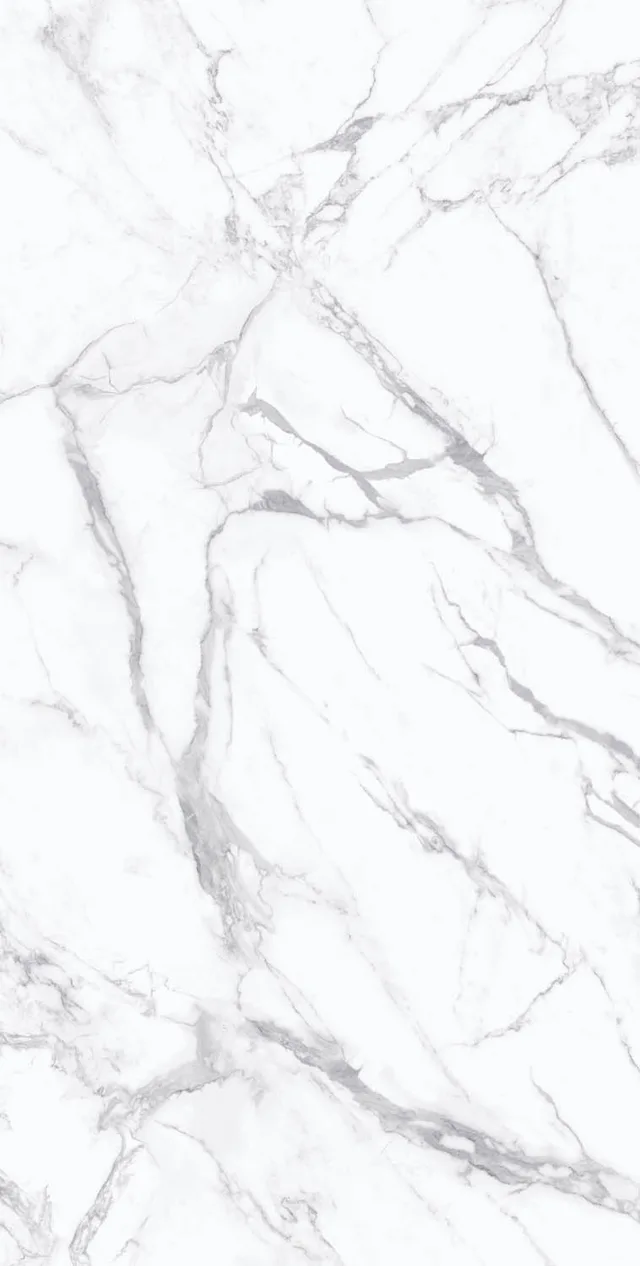# Porcelain Slab/Porcelain Tile/Floor Tile/Wall Tile/Marble Tile/Glazed Tile 160-320DBLP12855M