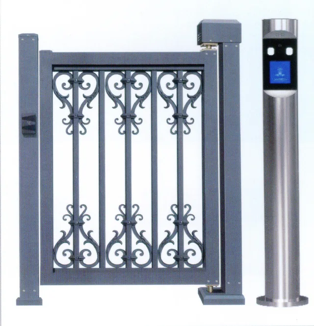Electric door