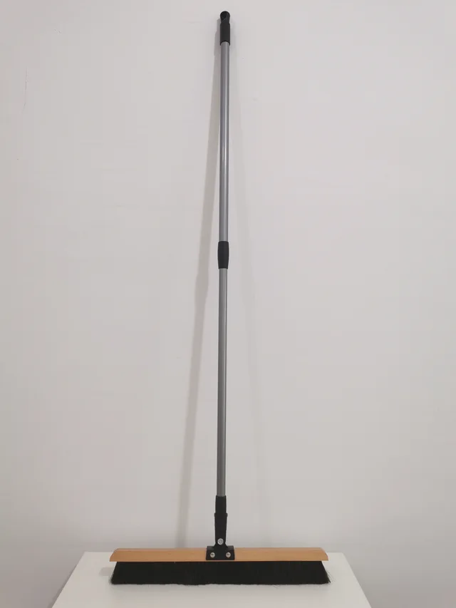 Horsehair broom