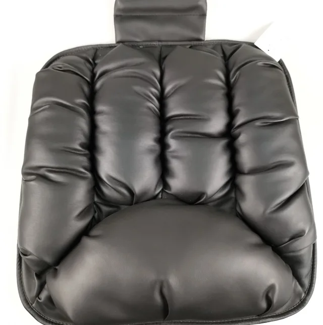 Cushion