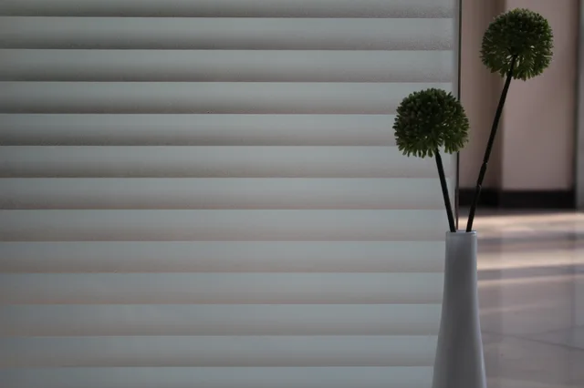 Static Privacy Window Film