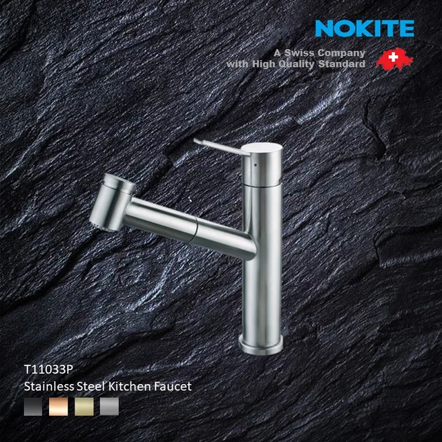 T11033P Stainless Steel Kitchen Faucet