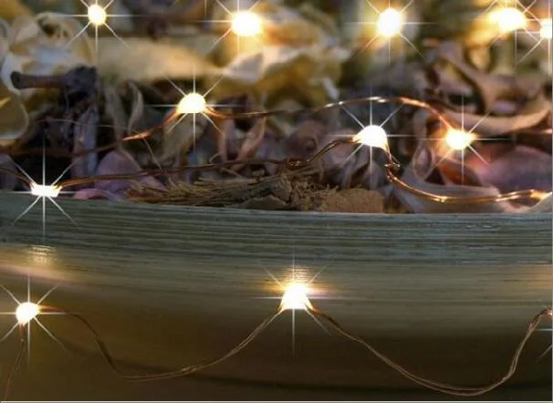 50L copper wire lamp string