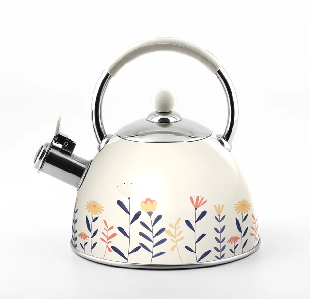Stainless Steel Kettle