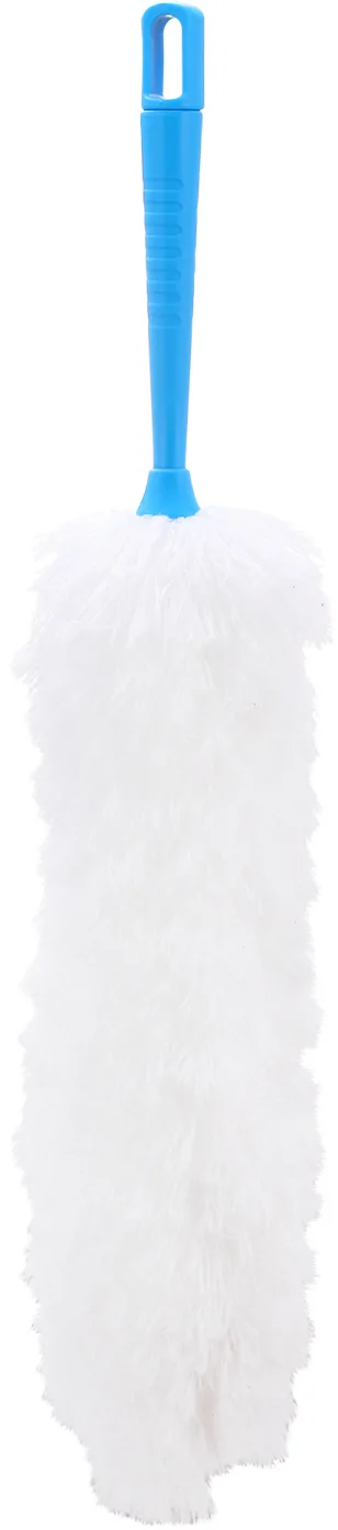 Duster Brush
