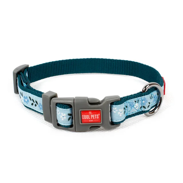 Dog Collar & Leash