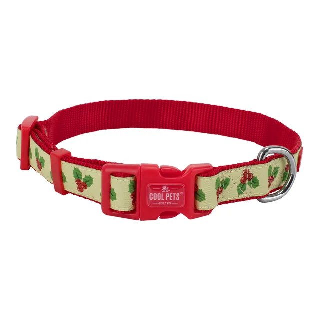 Dog Collar & Leash