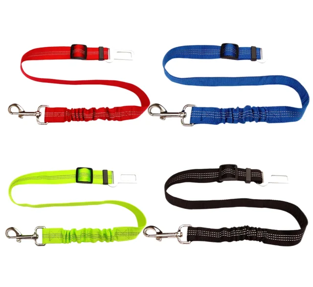Pet Leash