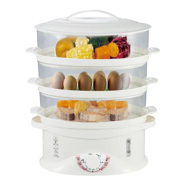 Electric steamer