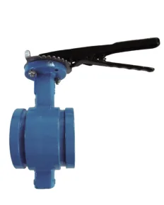 Grooved end butterfly valve lever operate