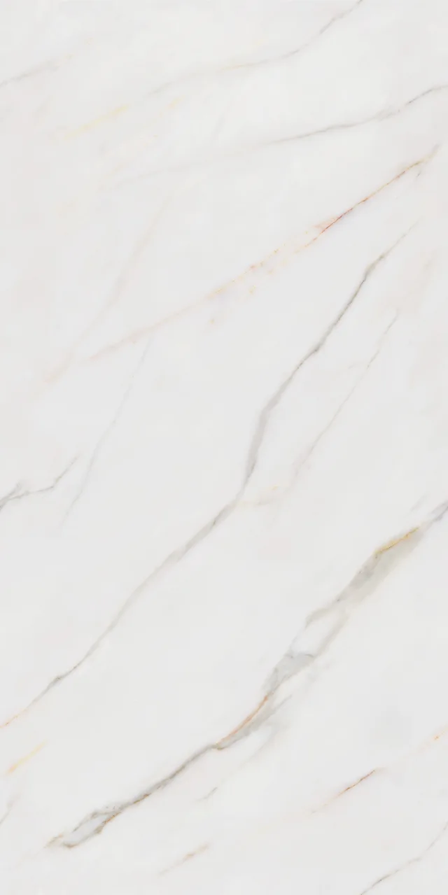 Calacatta Gold Honed