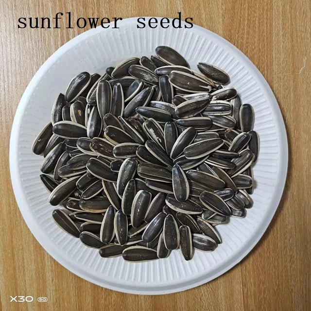 Sunflower seeds