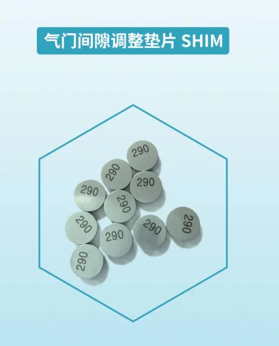 Shim