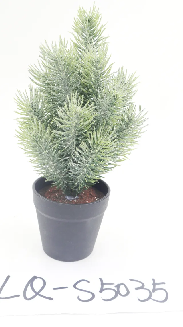 Seasonal decoration, potted plant