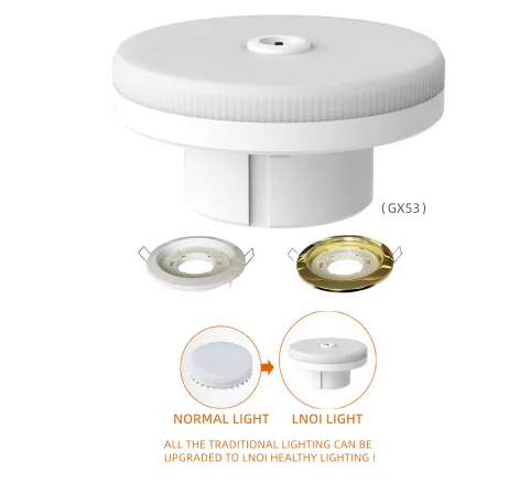 LNOI Light bulb