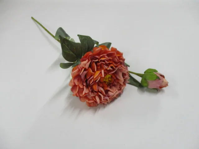 Peony