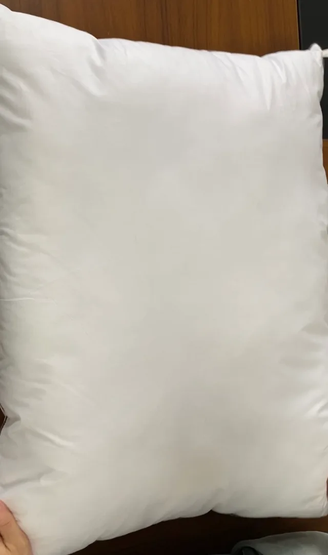 Duck down pillow