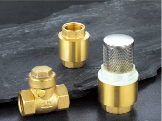 Check valve