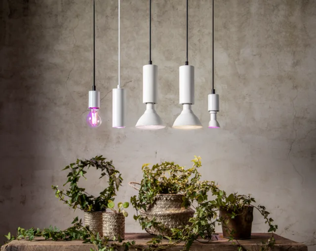 LED Grow Light