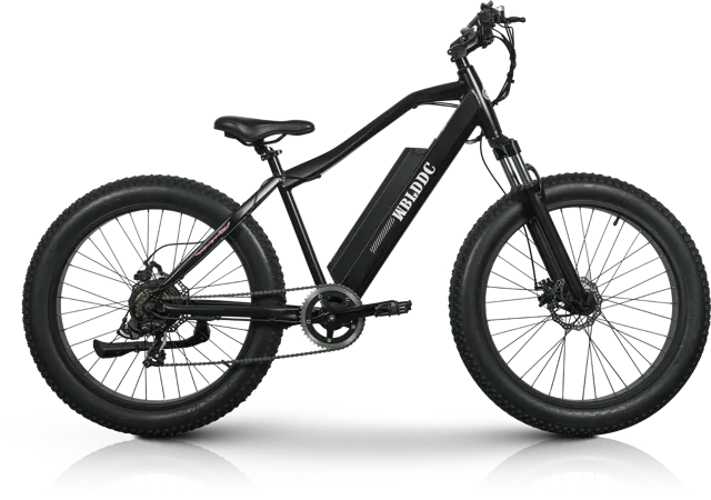 JIULAN Ebike 1809