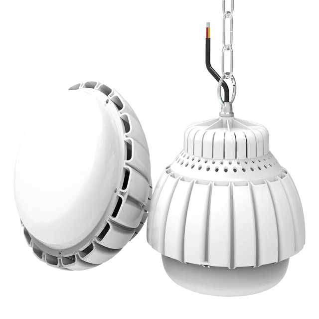 RS1 industrial bulb