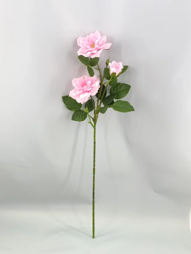 Feel the mountain tea flower-high imitation moisturizing feel