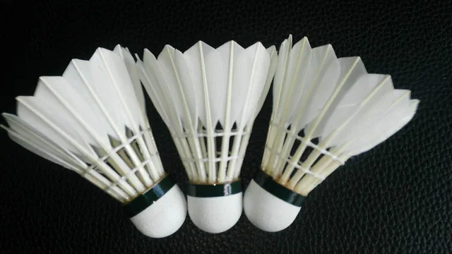 Feather Shuttlecock