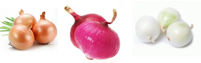 Onion