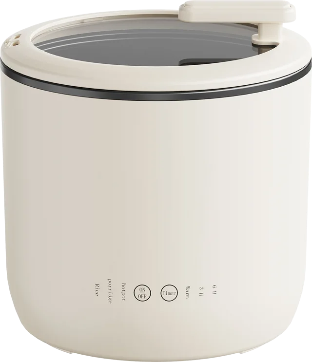 Multi purpose cooker