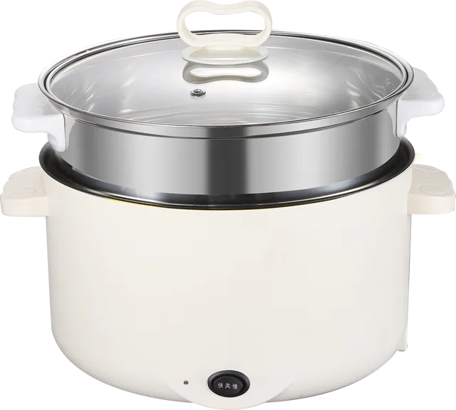 Multi purpose cooker