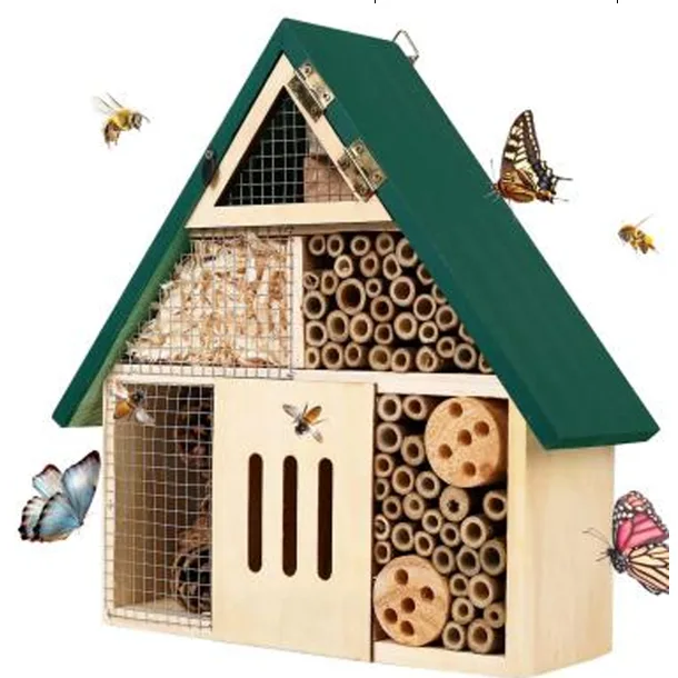 Insect House