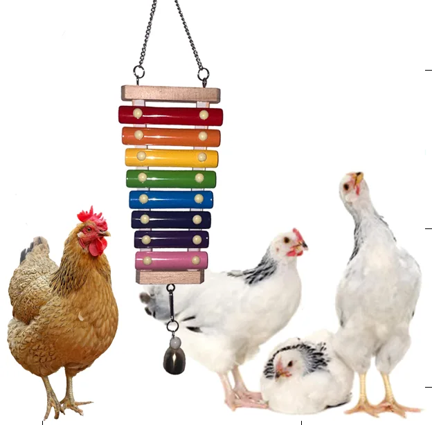 Chicken Swing