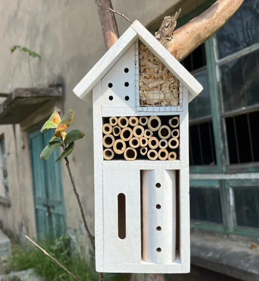 Insect House