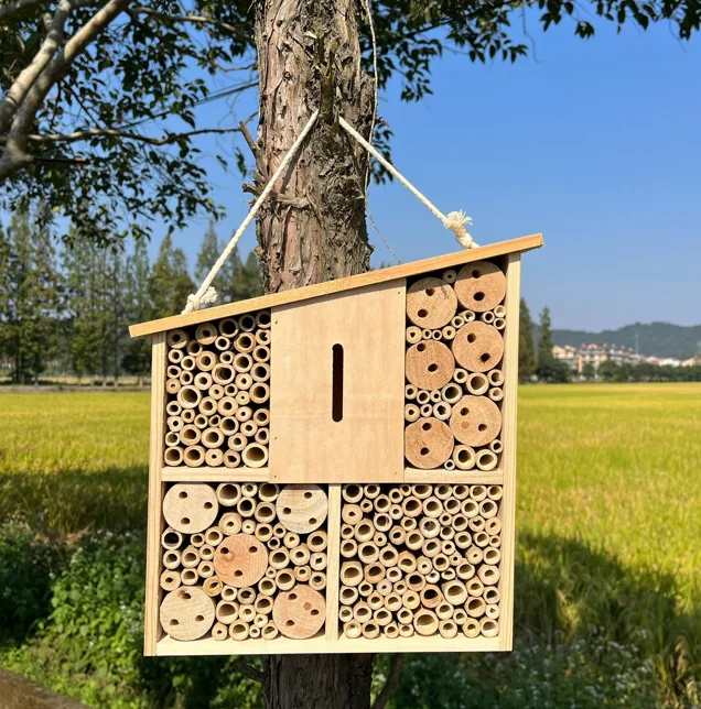 Insect House