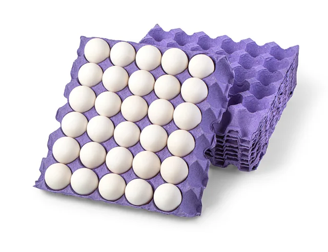 AGICO Egg Tray Making Machine