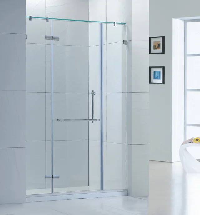Shower door
