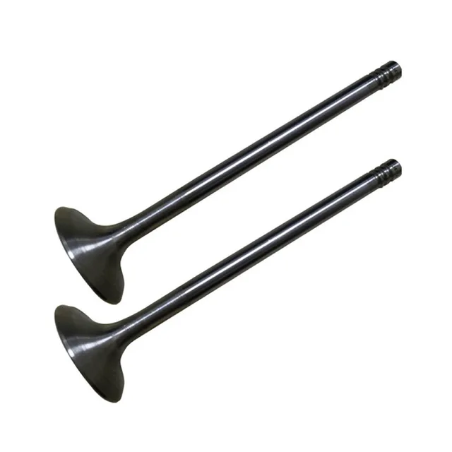 Premium Quality Engine Valve for lada 21177 Automobile