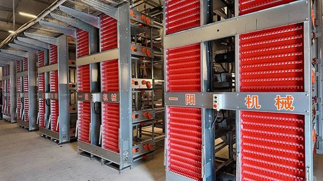 One yang anti-corrosion Cascade type laying hen cage raising equipment farms